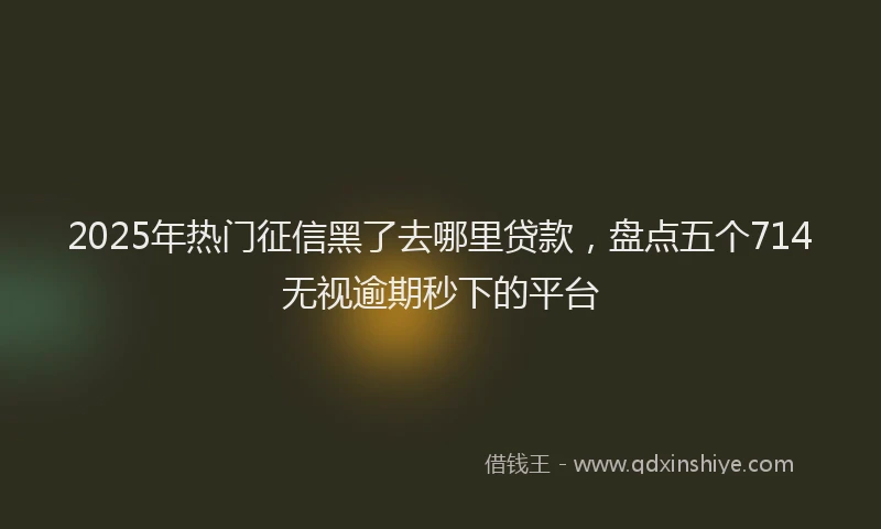 2025年热门征信黑了去哪里贷款，盘点五个714无视逾期秒下的平台