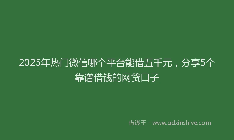 2025年热门微信哪个平台能借五千元，分享5个靠谱借钱的网贷口子