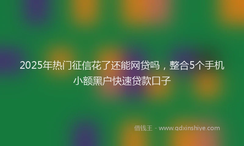 2025年热门征信花了还能网贷吗，整合5个手机小额黑户快速贷款口子