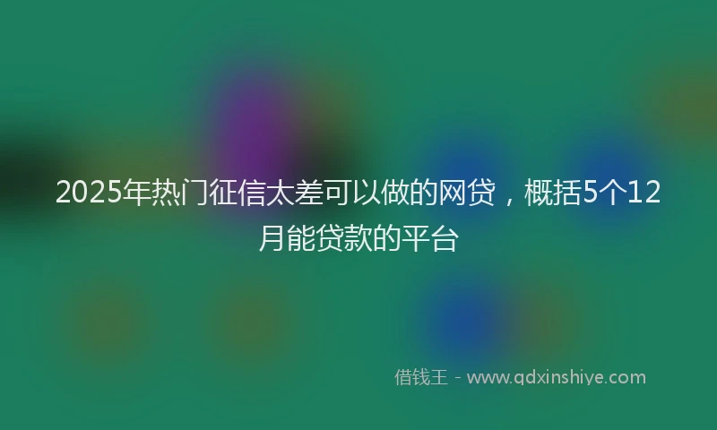 2025年热门征信太差可以做的网贷，概括5个12月能贷款的平台