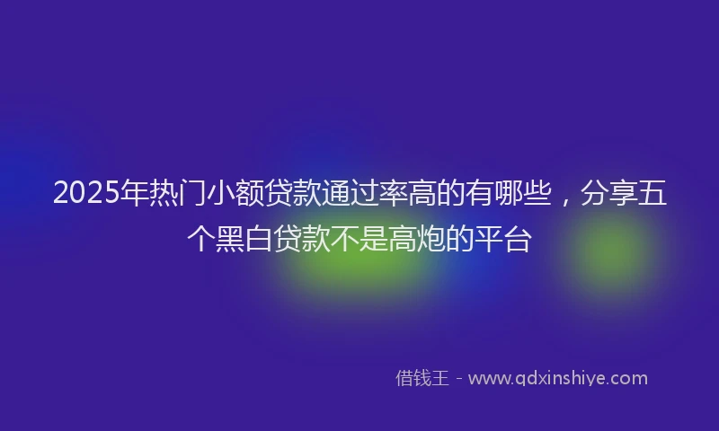 2025年热门小额贷款通过率高的有哪些，分享五个黑白贷款不是高炮的平台