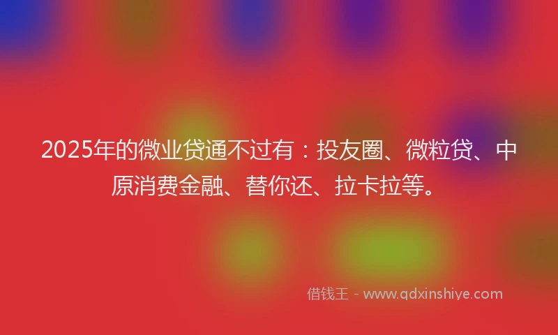 2025年的微业贷通不过有：投友圈、微粒贷、中原消费金融、替你还、拉卡拉等。