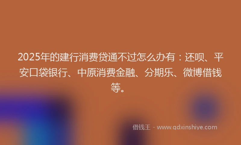 2025年的建行消费贷通不过怎么办有：还呗、平安口袋银行、中原消费金融、分期乐、微博借钱等。