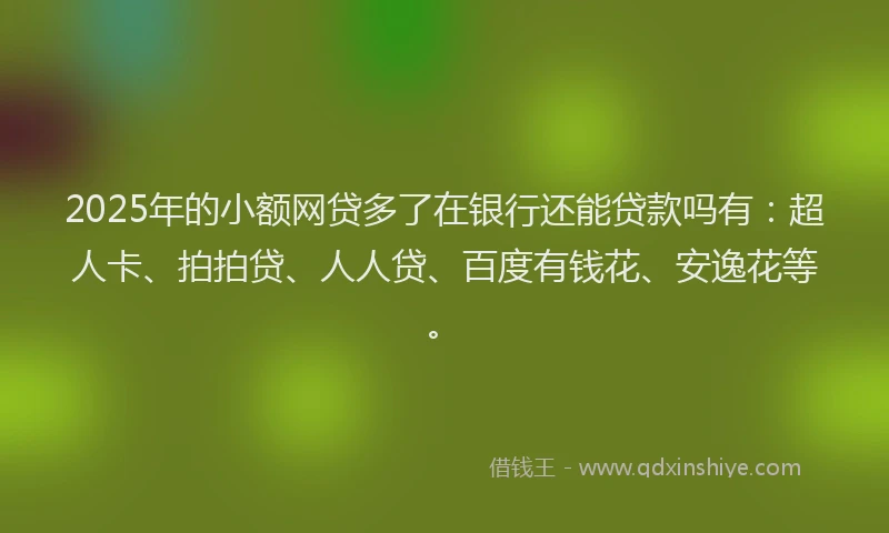 2025年的小额网贷多了在银行还能贷款吗有：超人卡、拍拍贷、人人贷、百度有钱花、安逸花等。