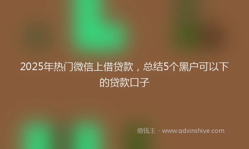 2025年热门微信上借贷款，总结5个黑户可以下的贷款口子