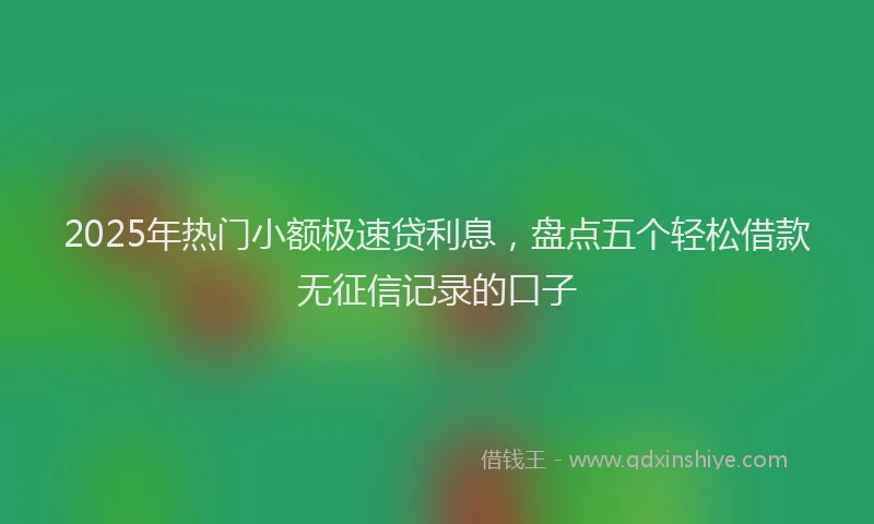 2025年热门小额极速贷利息，盘点五个轻松借款无征信记录的口子