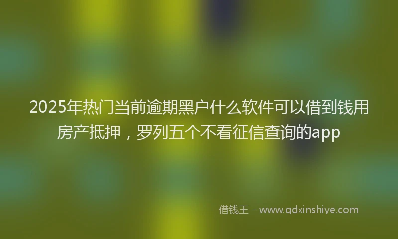 2025年热门当前逾期黑户什么软件可以借到钱用房产抵押，罗列五个不看征信查询的app