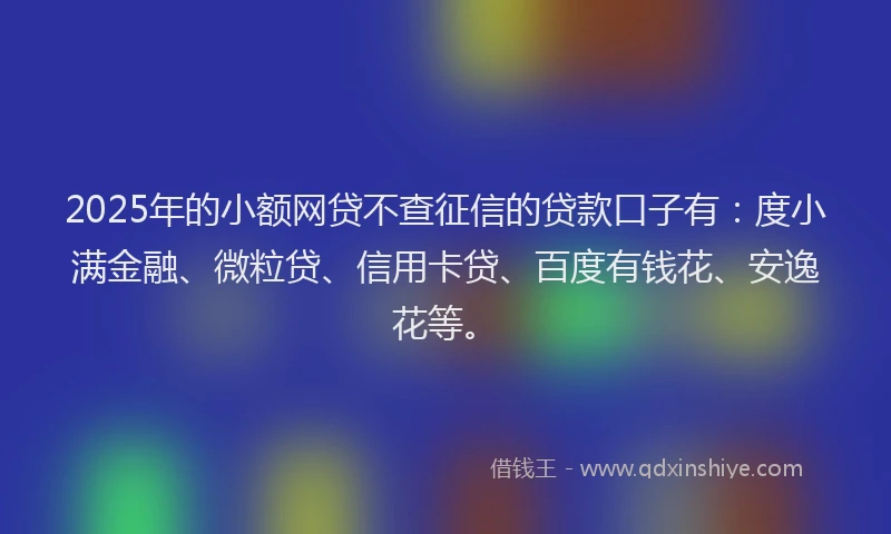 2025年的小额网贷不查征信的贷款口子有：度小满金融、微粒贷、信用卡贷、百度有钱花、安逸花等。