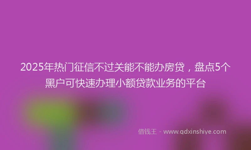 2025年热门征信不过关能不能办房贷，盘点5个黑户可快速办理小额贷款业务的平台