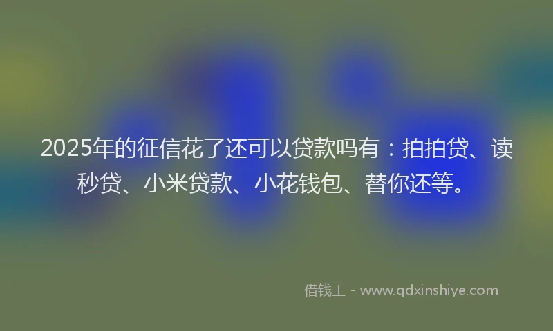 2025年的征信花了还可以贷款吗有：拍拍贷、读秒贷、小米贷款、小花钱包、替你还等。