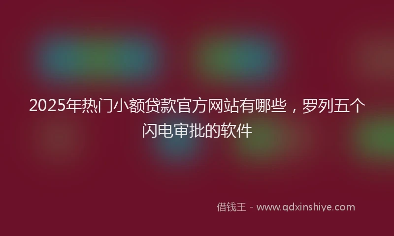2025年热门小额贷款官方网站有哪些，罗列五个闪电审批的软件