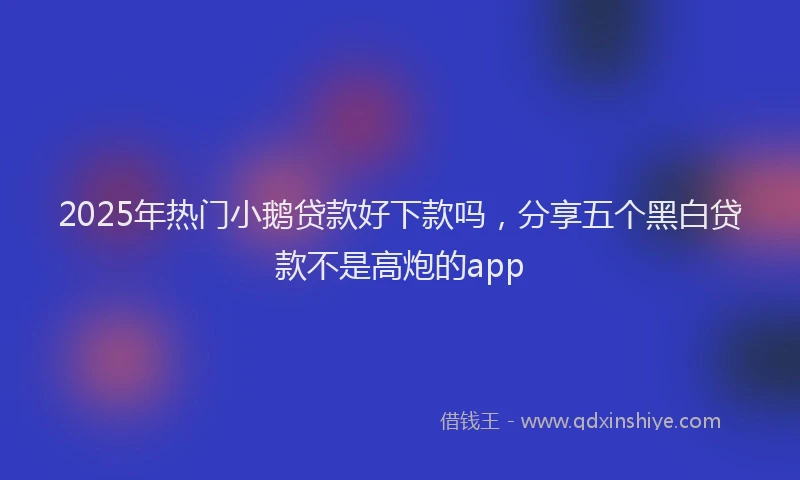 2025年热门小鹅贷款好下款吗，分享五个黑白贷款不是高炮的app