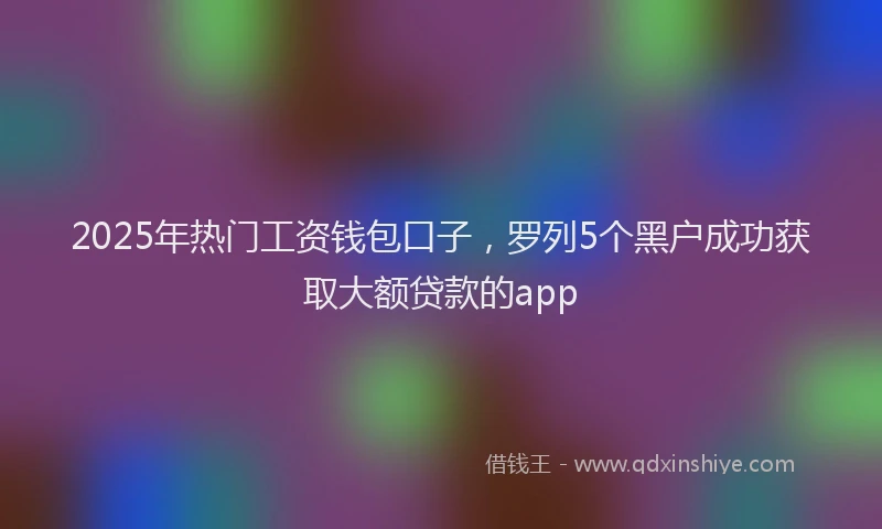 2025年热门工资钱包口子，罗列5个黑户成功获取大额贷款的app