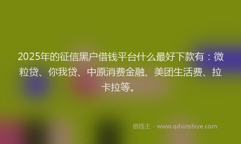 2025年的征信黑户借钱平台什么最好下款有：微粒贷、你我贷、中原消费金融、美团生活费、拉卡拉等。