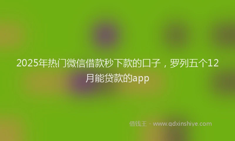 2025年热门微信借款秒下款的口子，罗列五个12月能贷款的app