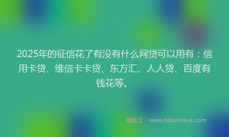 2025年的征信花了有没有什么网贷可以用有：信用卡贷、维信卡卡贷、东方汇、人人贷、百度有钱花等。