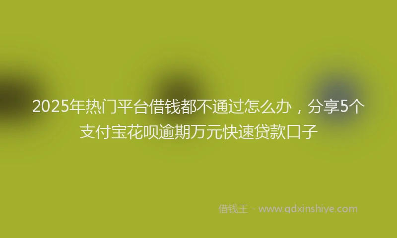 2025年热门平台借钱都不通过怎么办，分享5个支付宝花呗逾期万元快速贷款口子
