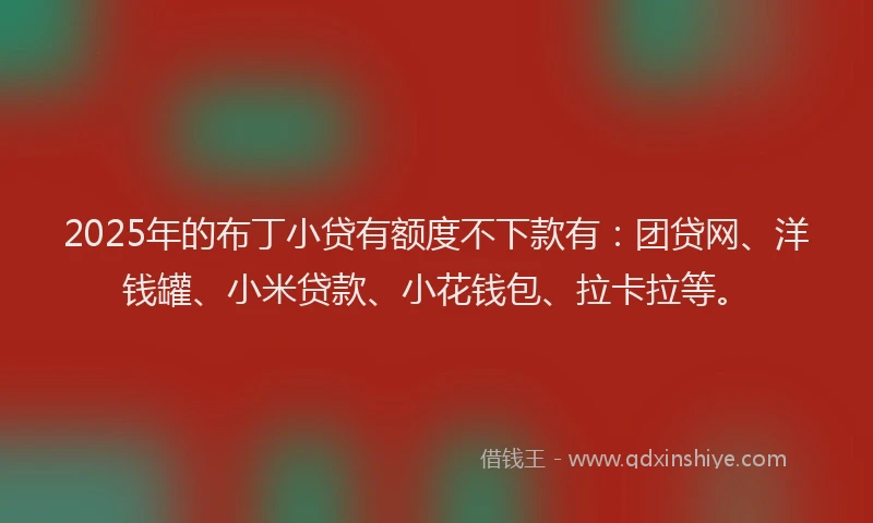 2025年的布丁小贷有额度不下款有：团贷网、洋钱罐、小米贷款、小花钱包、拉卡拉等。