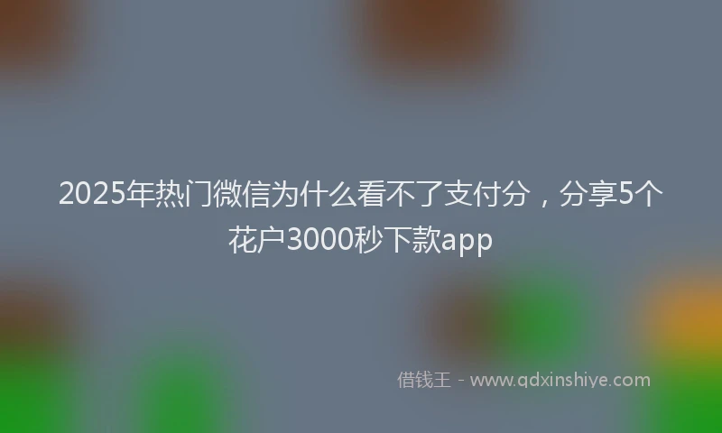 2025年热门微信为什么看不了支付分，分享5个花户3000秒下款app