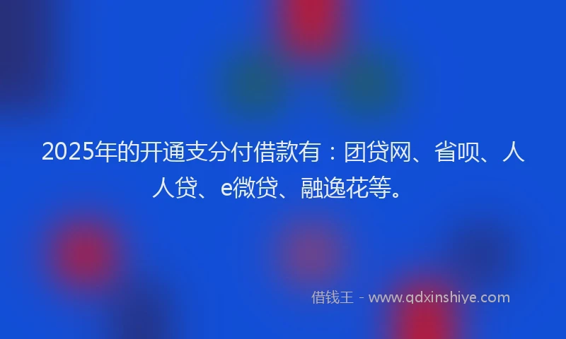 2025年的开通支分付借款有：团贷网、省呗、人人贷、e微贷、融逸花等。