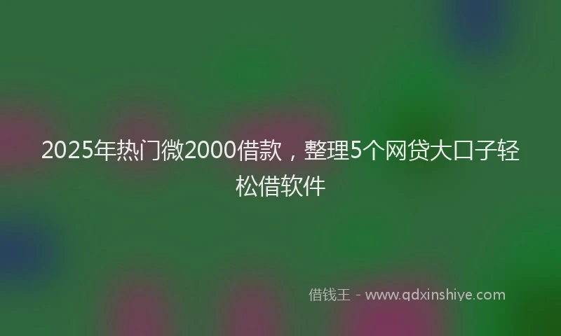 2025年热门微2000借款，整理5个网贷大口子轻松借软件