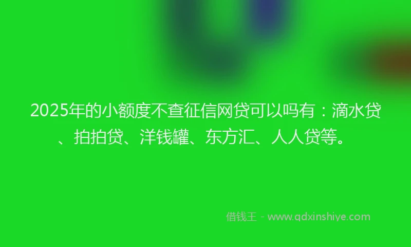 2025年的小额度不查征信网贷可以吗有：滴水贷、拍拍贷、洋钱罐、东方汇、人人贷等。