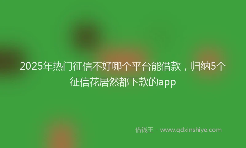 2025年热门征信不好哪个平台能借款，归纳5个征信花居然都下款的app