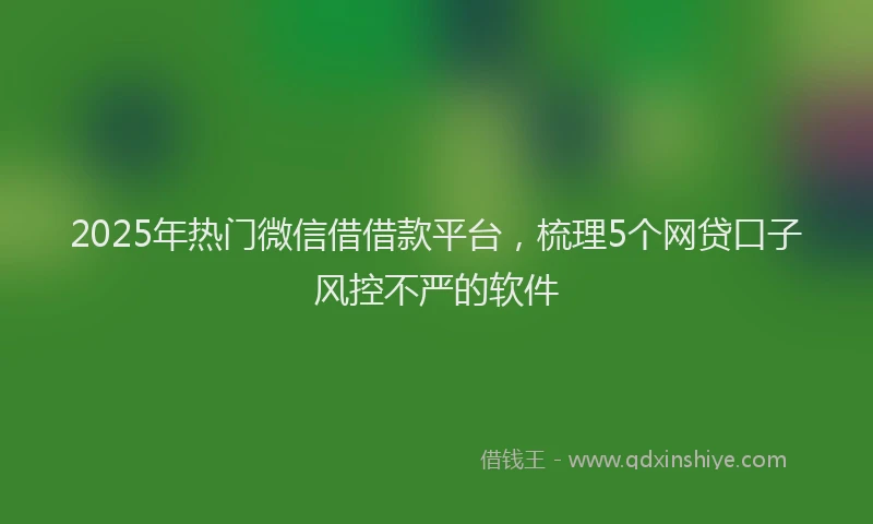 2025年热门微信借借款平台，梳理5个网贷口子风控不严的软件