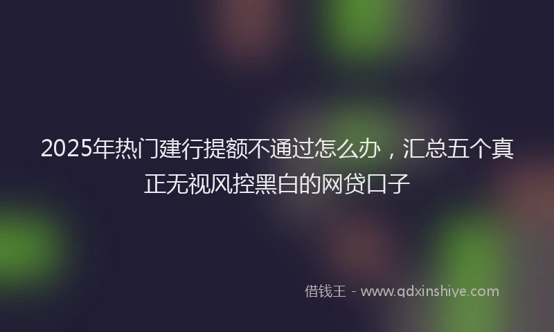 2025年热门建行提额不通过怎么办，汇总五个真正无视风控黑白的网贷口子