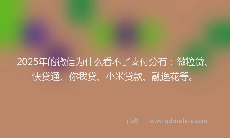 2025年的微信为什么看不了支付分有：微粒贷、快贷通、你我贷、小米贷款、融逸花等。