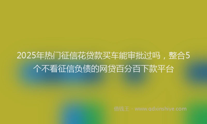 2025年热门征信花贷款买车能审批过吗，整合5个不看征信负债的网贷百分百下款平台