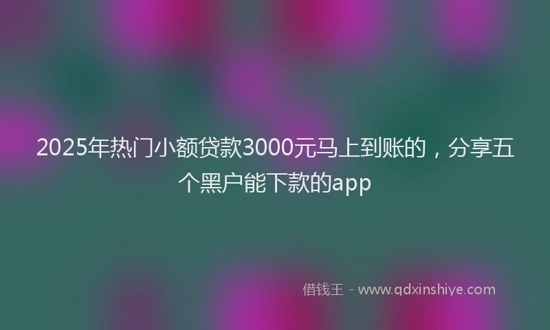 2025年热门小额贷款3000元马上到账的，分享五个黑户能下款的app