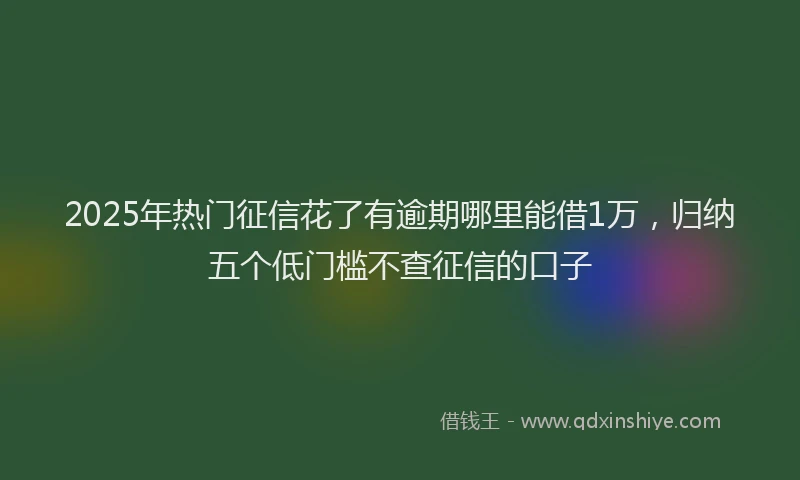 2025年热门征信花了有逾期哪里能借1万，归纳五个低门槛不查征信的口子