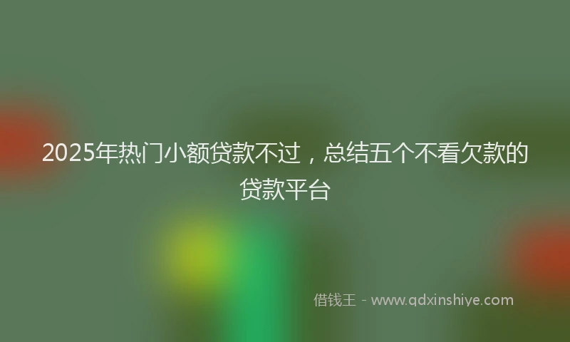2025年热门小额贷款不过，总结五个不看欠款的贷款平台