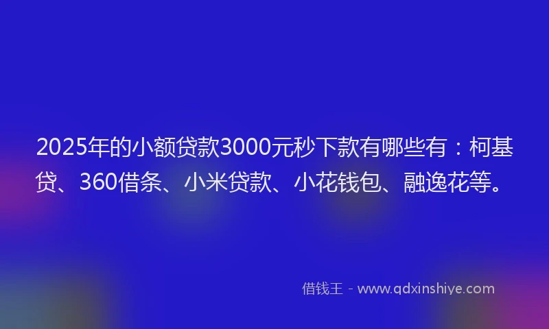 2025年的小额贷款3000元秒下款有哪些有：柯基贷、360借条、小米贷款、小花钱包、融逸花等。