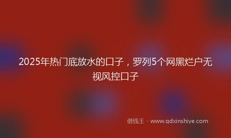 2025年热门底放水的口子,罗列5个网黑烂户无视风控口子