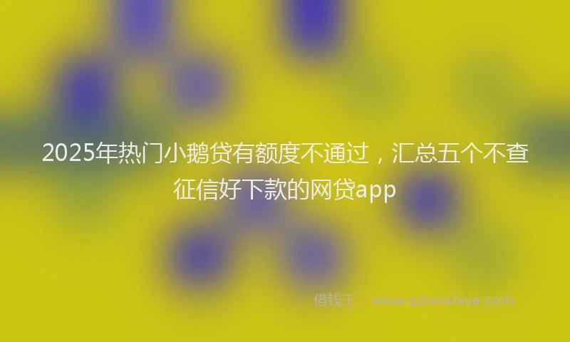 2025年热门小鹅贷有额度不通过，汇总五个不查征信好下款的网贷app