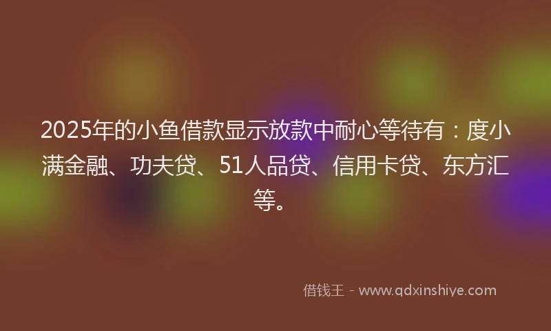 2025年的小鱼借款显示放款中耐心等待有：度小满金融、功夫贷、51人品贷、信用卡贷、东方汇等。