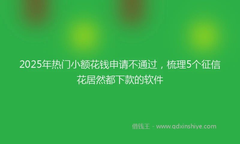 2025年热门小额花钱申请不通过，梳理5个征信花居然都下款的软件