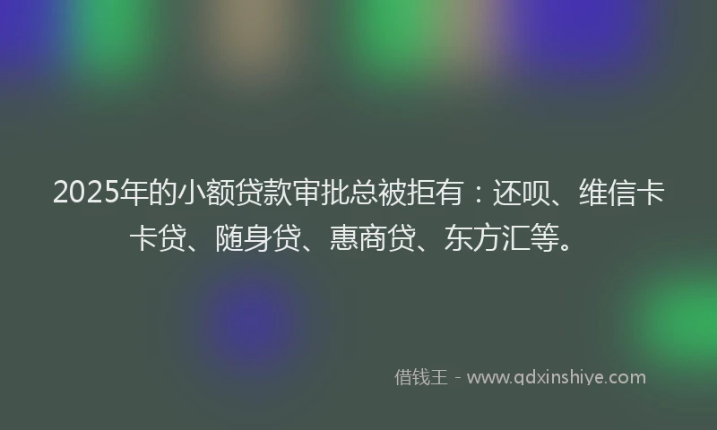 2025年的小额贷款审批总被拒有：还呗、维信卡卡贷、随身贷、惠商贷、东方汇等。