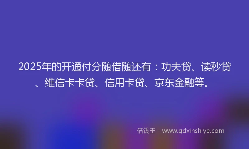 2025年的开通付分随借随还有:功夫贷、读秒贷、维信卡卡贷、信用卡贷、京东金融等。