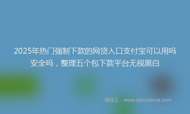 2025年热门强制下款的网贷入口支付宝可以用吗安全吗，整理五个包下款平台无视黑白