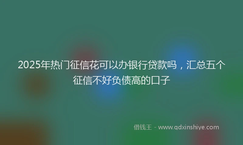 2025年热门征信花可以办银行贷款吗，汇总五个征信不好负债高的口子