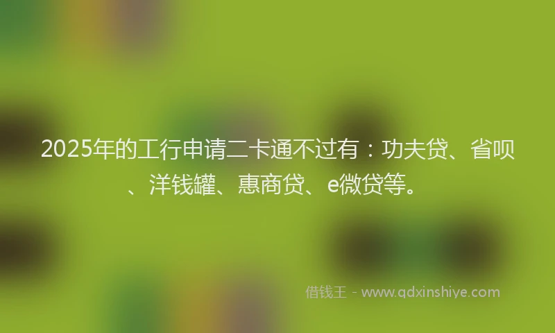 2025年的工行申请二卡通不过有：功夫贷、省呗、洋钱罐、惠商贷、e微贷等。