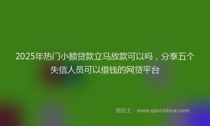 2025年热门小额贷款立马放款可以吗，分享五个失信人员可以借钱的网贷平台