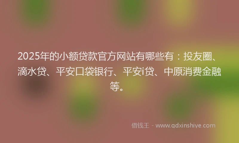 2025年的小额贷款官方网站有哪些有：投友圈、滴水贷、平安口袋银行、平安i贷、中原消费金融等。