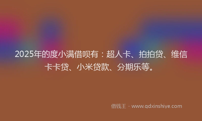 2025年的度小满借呗有：超人卡、拍拍贷、维信卡卡贷、小米贷款、分期乐等。