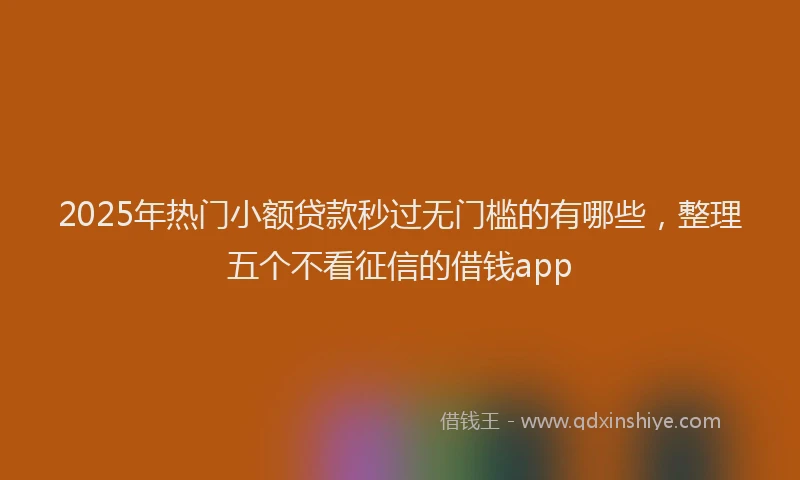 2025年热门小额贷款秒过无门槛的有哪些，整理五个不看征信的借钱app