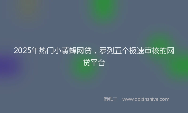 2025年热门小黄蜂网贷，罗列五个极速审核的网贷平台