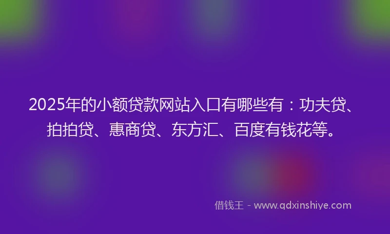 2025年的小额贷款网站入口有哪些有：功夫贷、拍拍贷、惠商贷、东方汇、百度有钱花等。